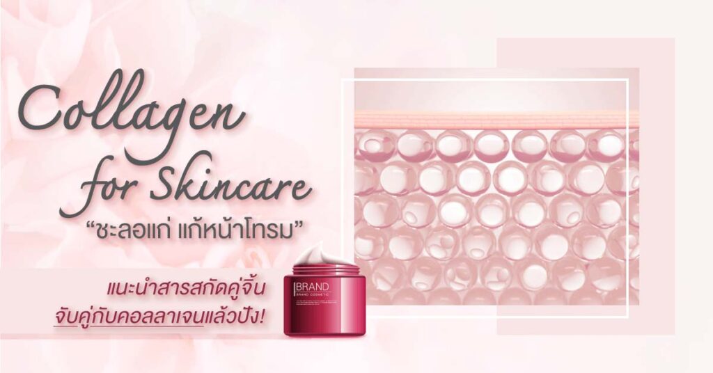 Collagen Cream