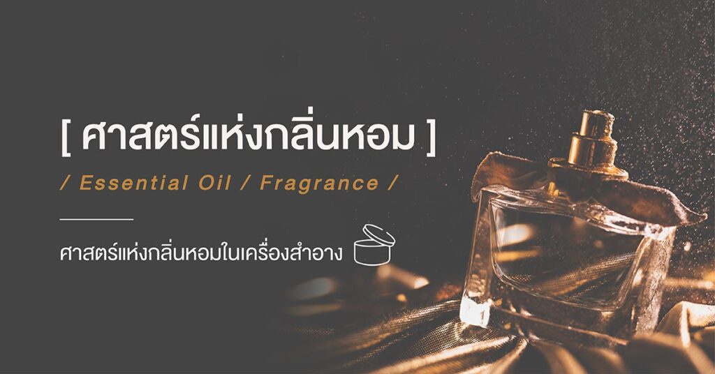 ศาสตร์แห่งกลิ่นหอม