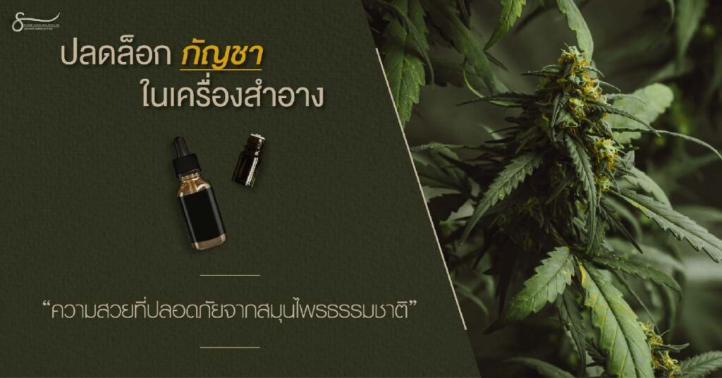 กัญชาในเครื่องสำอาง